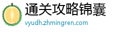 通关攻略锦囊